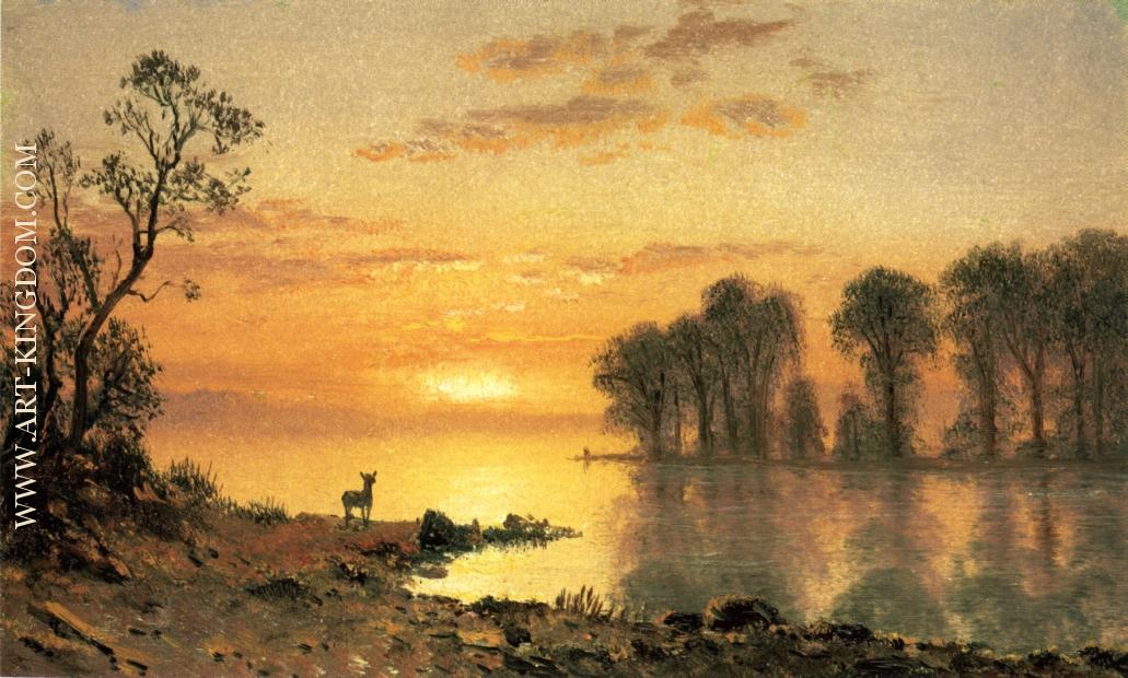 Sunset Deer and River