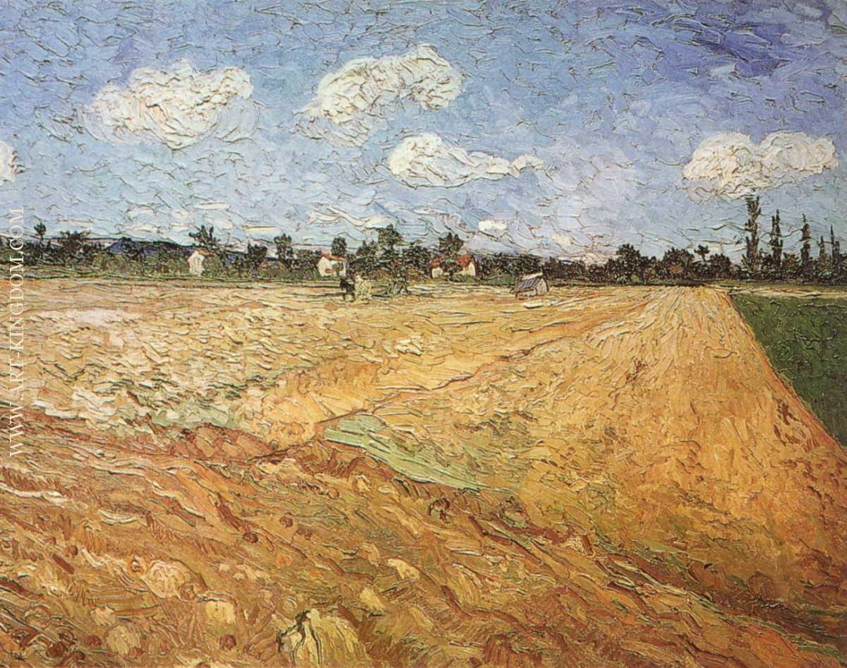 The Plowed Field