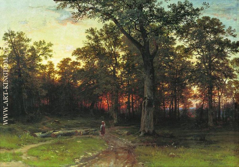 Wood in the evening