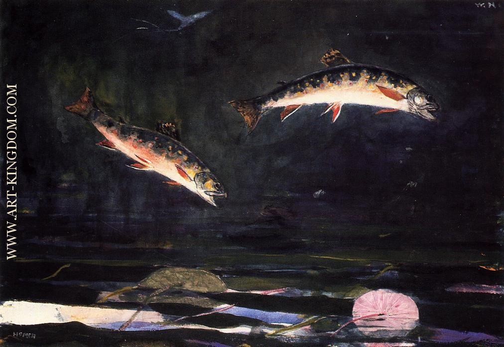 Leaping Trout 2