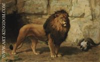 A lion guarding his den