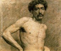 Desnudo masculino Torso