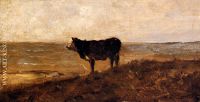 The Lone Cow