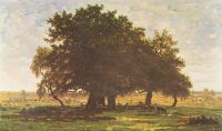 The oaks of Apremont