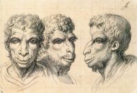 Physiognomic Heads Inspired by a Camel