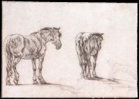 Two Studies of a Horse