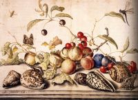 Still Life with Plums Cherries and Shells