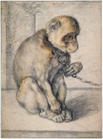 Monkey on a chain seated
