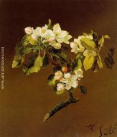 A Spray of Apple Blossoms