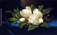 Giant Magnolias on a Blue Velvet Cloth