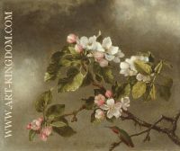 Hummingbird And Apple Blossoms