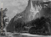 Stream in the Yosemite Valley