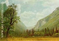 View Across Yosemite Valley