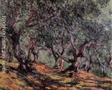 Olive Trees in Bordighera