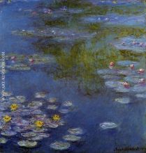 Water Lilies 20