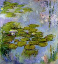 Water Lilies 41