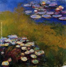 Water Lilies 46