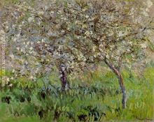 Apple Trees in Bloom at Giverny