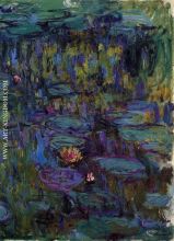 Water Lilies 48