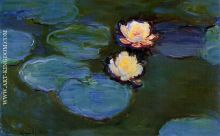 Water Lilies 02