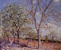 Plum and Walnut Trees in Spring