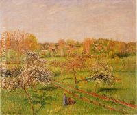 Morning Flowering Apple Trees Eragny