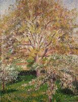 Walnut and Apple Trees in Bloom Eragny