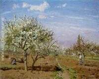 Orchard in Blossom Louveciennes