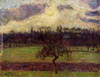 The Fields of Eragny the Apple Tree