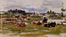 Cows in Pasture 