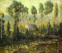 Poplars along a River