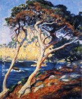 Point Lobos Trees
