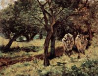 Two oxen in the olive grove