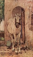 A white horse in front of a door