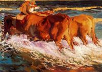 Oxen Study for sun in the afternoon 