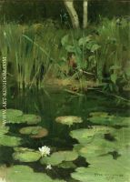 Water Lilies