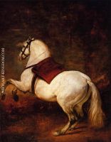 The-White-Horse