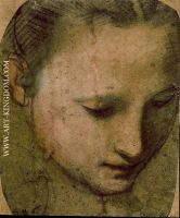 Study of the Virgin s Head for the Madonna del Gatto