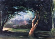 Study of Trees in Moonlight at Honolulu