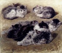 A Study Of Cats