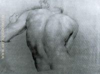 Study of a back for Apoteosi of Hercules