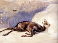 The Chamois Sketched In The Tyrol