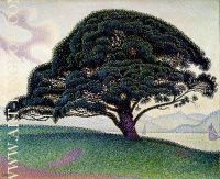 Paul Signac The Bonaventure Pine in Saint Tropez