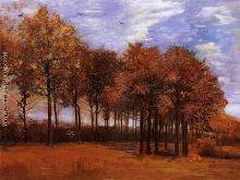 Autumn Landscape