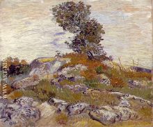 Rocks with Oak Tree