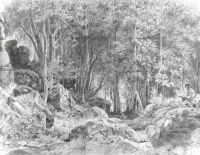 Deciduous forest on rocky coast Valaam