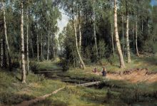 Bach in the birch forest