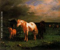 Chevaux et brebis