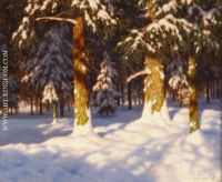 Sunlit Forest Interior