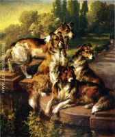Collie Dogs in Formal Garden